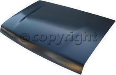 1993 Nissan D21 Hood