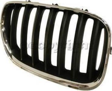 2006 BMW X5 Grille, Driver Side