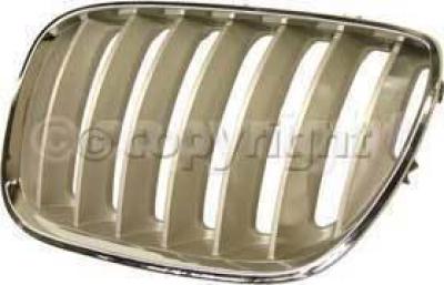 2006 BMW X5 Grille, Passenger Side