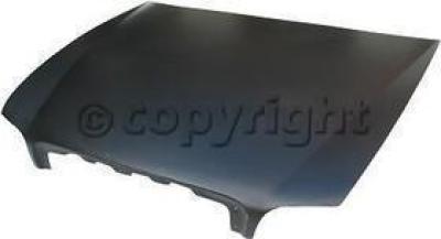 2005 Buick Park Avenue Hood