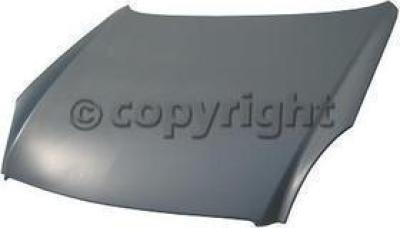 2007 Infiniti G35 Hood