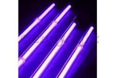  Universal (Any Vehicle)  Underbody Light Kit