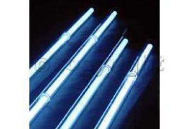  Universal (Any Vehicle)  Underbody Light Kit