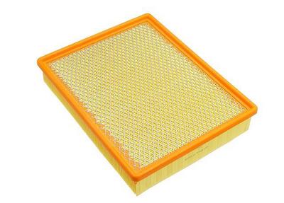 2005 Chevrolet / Chevy Avalanche Air Filter