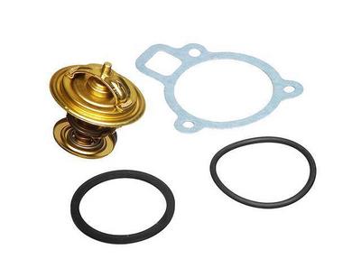 1979 Audi Fox Thermostat