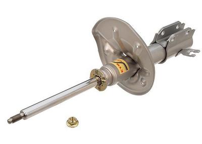 Strut Assembly