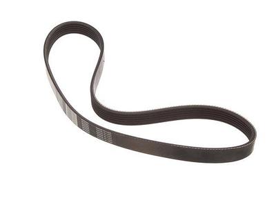 1996 Infiniti Q45 Multi Rib Belt