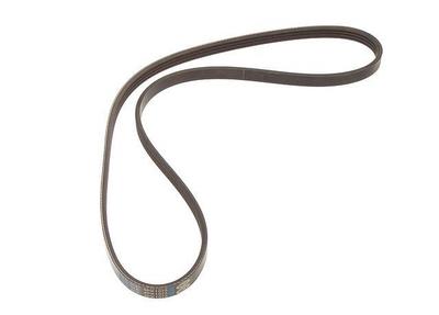 2004 Kia Rio Multi Rib Belt
