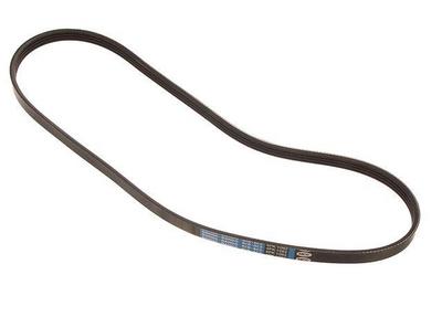 2001 Kia Sephia Multi Rib Belt