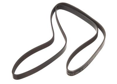 1999 Daewoo Nubira Multi Rib Belt