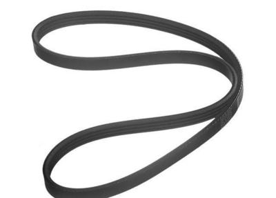2005 Infiniti G35 Multi Rib Belt