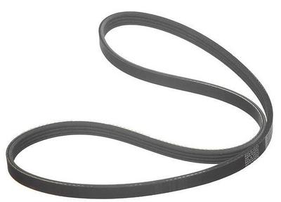 1995 Kia Sephia Multi Rib Belt
