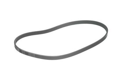2005 Mitsubishi Land Cruiser Multi Rib Belt