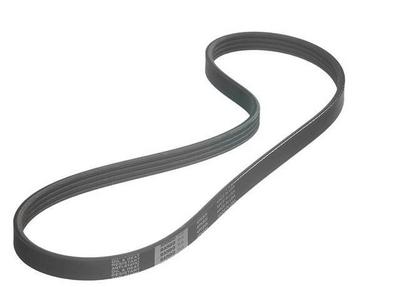 1993 Lexus ES Multi Rib Belt