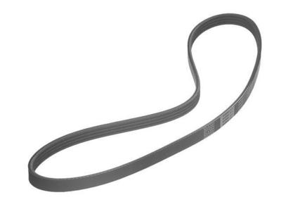 2003 Kia Optima Multi Rib Belt