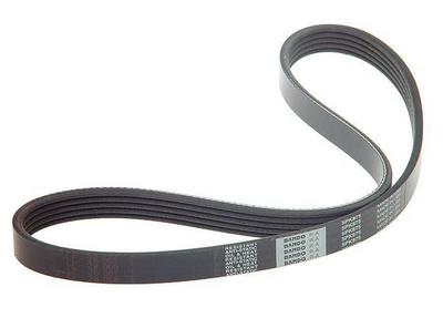 2002 Subaru Forester Multi Rib Belt
