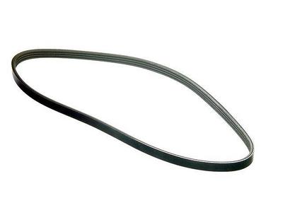 1996 Subaru Impreza Multi Rib Belt