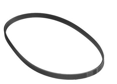 1997 Honda Civic Multi Rib Belt