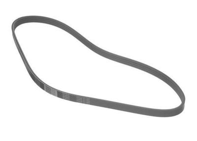 2002 Kia Rio Multi Rib Belt