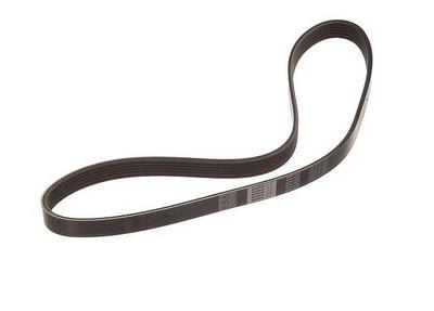 1996 Infiniti G20 Multi Rib Belt