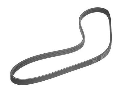 2001 Kia Sephia Multi Rib Belt