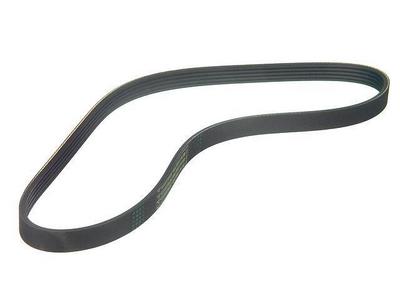 2005 Subaru Baja Multi Rib Belt