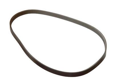 2004 Toyota Tacoma Multi Rib Belt