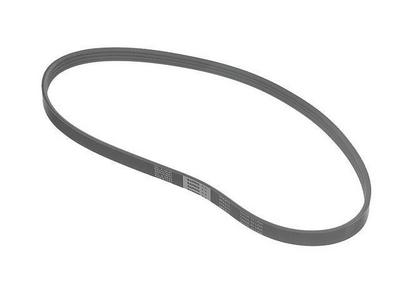 2002 Suzuki Esteem Multi Rib Belt