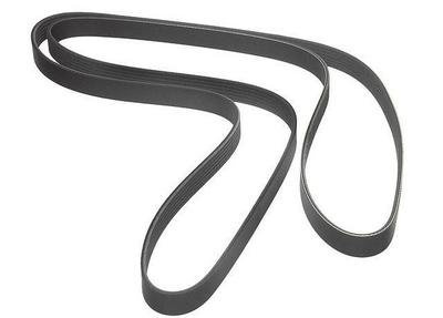 2000 Lexus SC Multi Rib Belt
