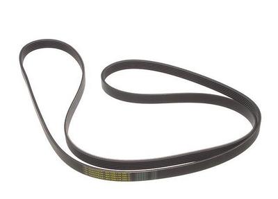 1998 Audi Cabriolet V6 Multi Rib Belt