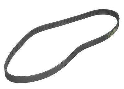 1999 Volkswagen Golf Multi Rib Belt