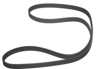 1995 BMW 318 Multi Rib Belt