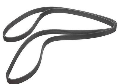 2003 Lexus GX Multi Rib Belt