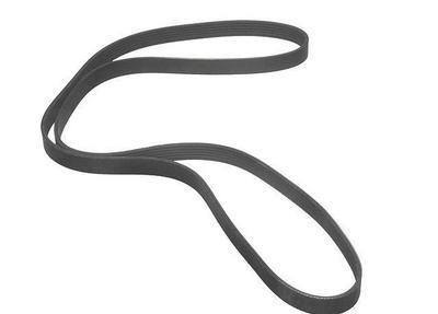 2004 Subaru Outback Multi Rib Belt