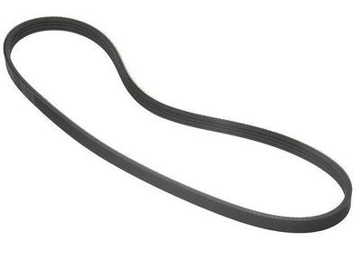 2001 Acura Integra Multi Rib Belt