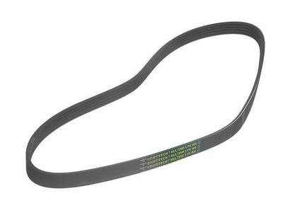 1999 BMW M3 Multi Rib Belt