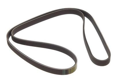 1997 Audi A6 Multi Rib Belt