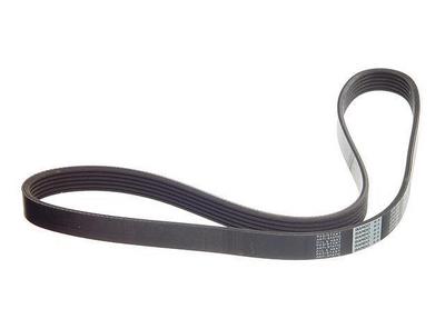 1999 Infiniti I30 Multi Rib Belt