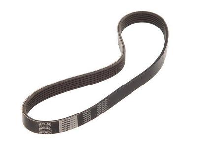 1996 Toyota Previa Multi Rib Belt