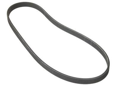 2005 Audi TT Multi Rib Belt