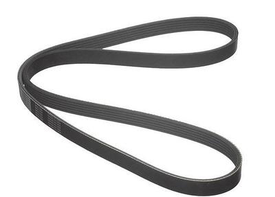 1997 Nissan Altima Multi Rib Belt