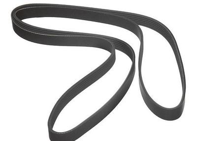 2005 Lexus GS Multi Rib Belt