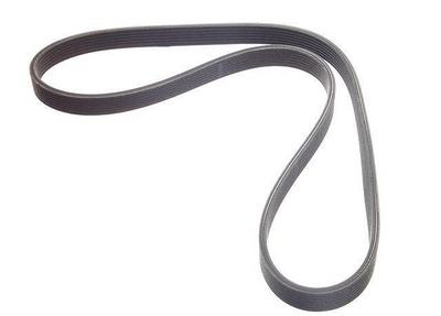 1995 Volkswagen Corrado Multi Rib Belt