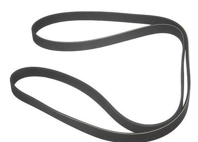 1997 Audi A6 Multi Rib Belt