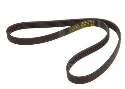 2005 Volkswagen Beetle Convertible Multi Rib Belt