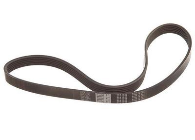 2000 Nissan Pathfinder Multi Rib Belt