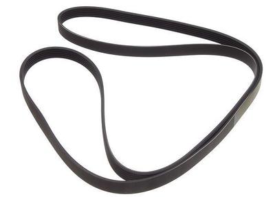 2004 Isuzu Axiom Sport Utility Multi Rib Belt