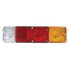 Tail Lamp Assembly, Passenger Side