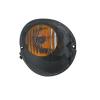Park/ Signal Lamp Assembly, Passenger Side