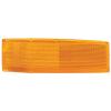Side Marker Lamp Lens & Housing, Passenger Side